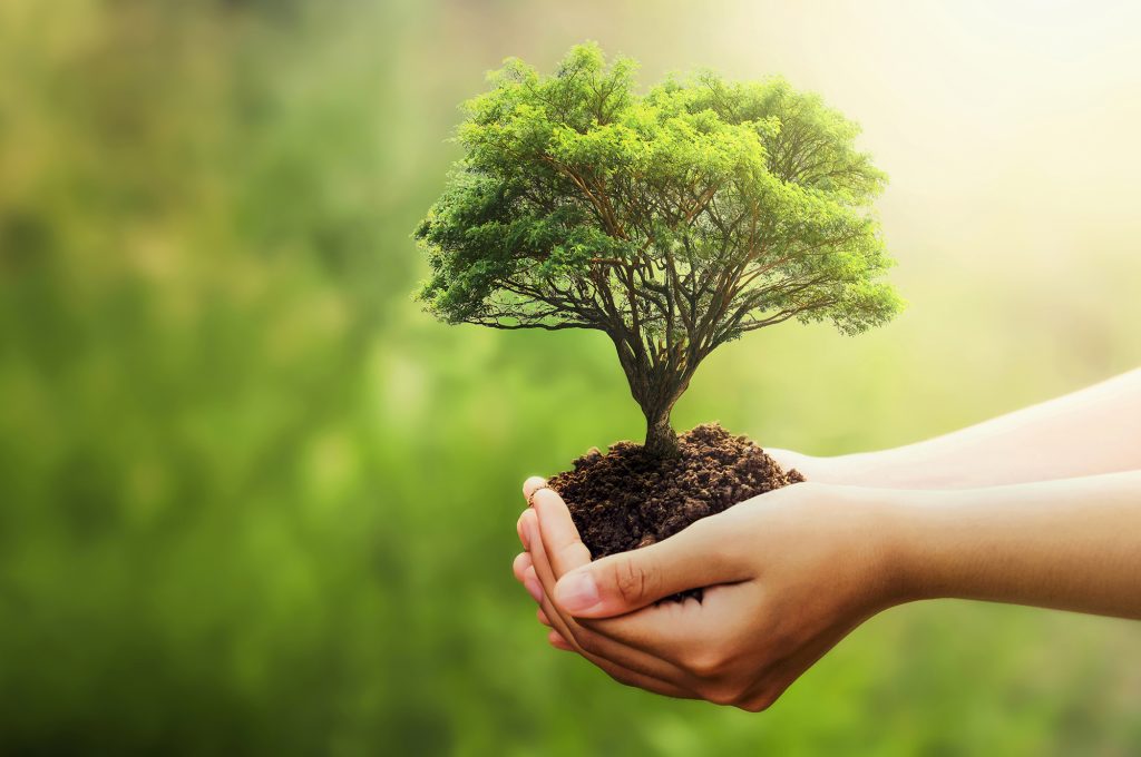 Tree planting awareness image